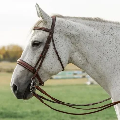 CommonWealth Hunter Bridle