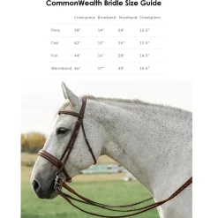 CommonWealth Hunter Bridle