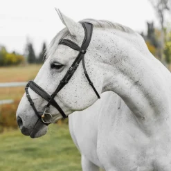 CommonWealth Soft Bridle with Removable Flash
