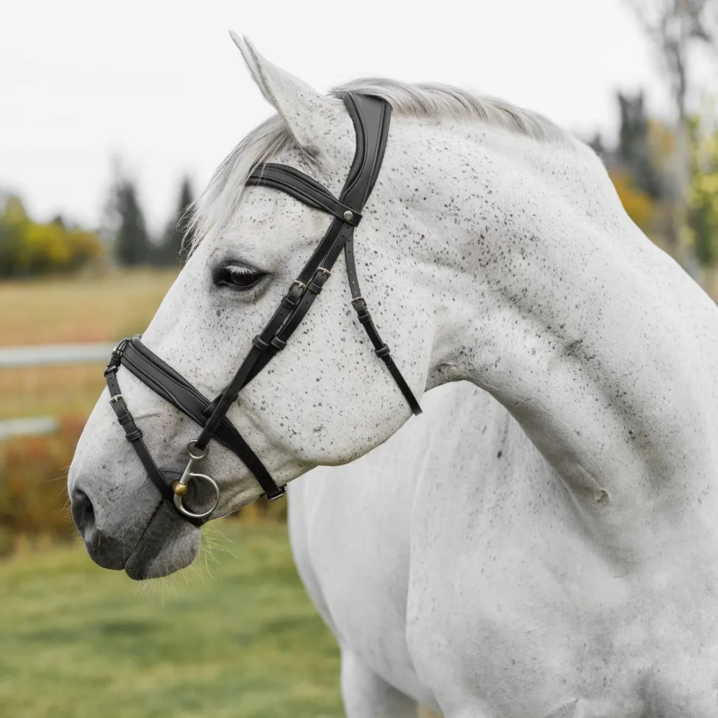 CommonWealth Soft Bridle with Removable Flash