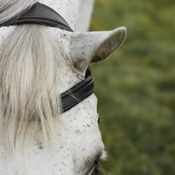 CommonWealth Soft Bridle with Removable Flash
