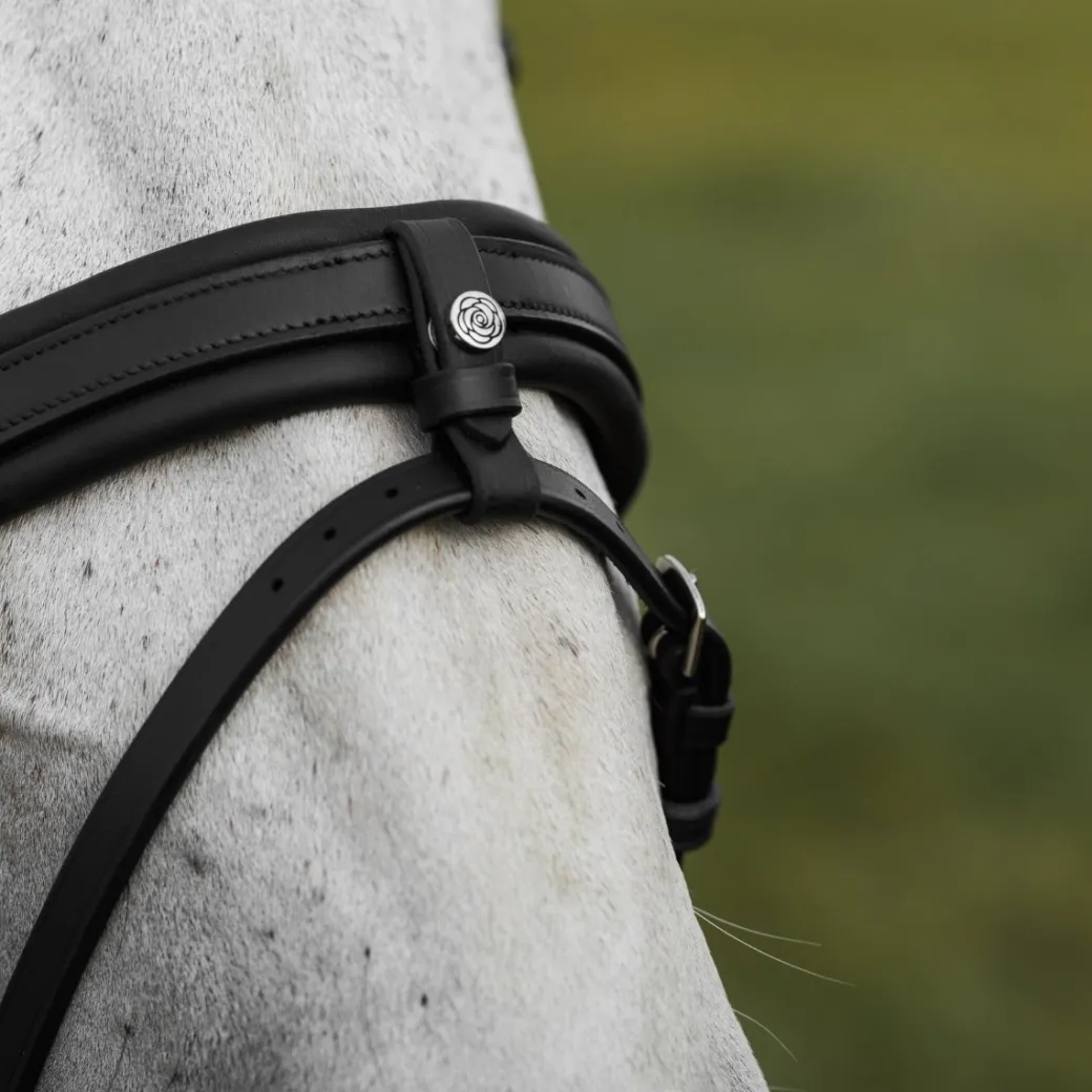 CommonWealth Soft Bridle with Removable Flash