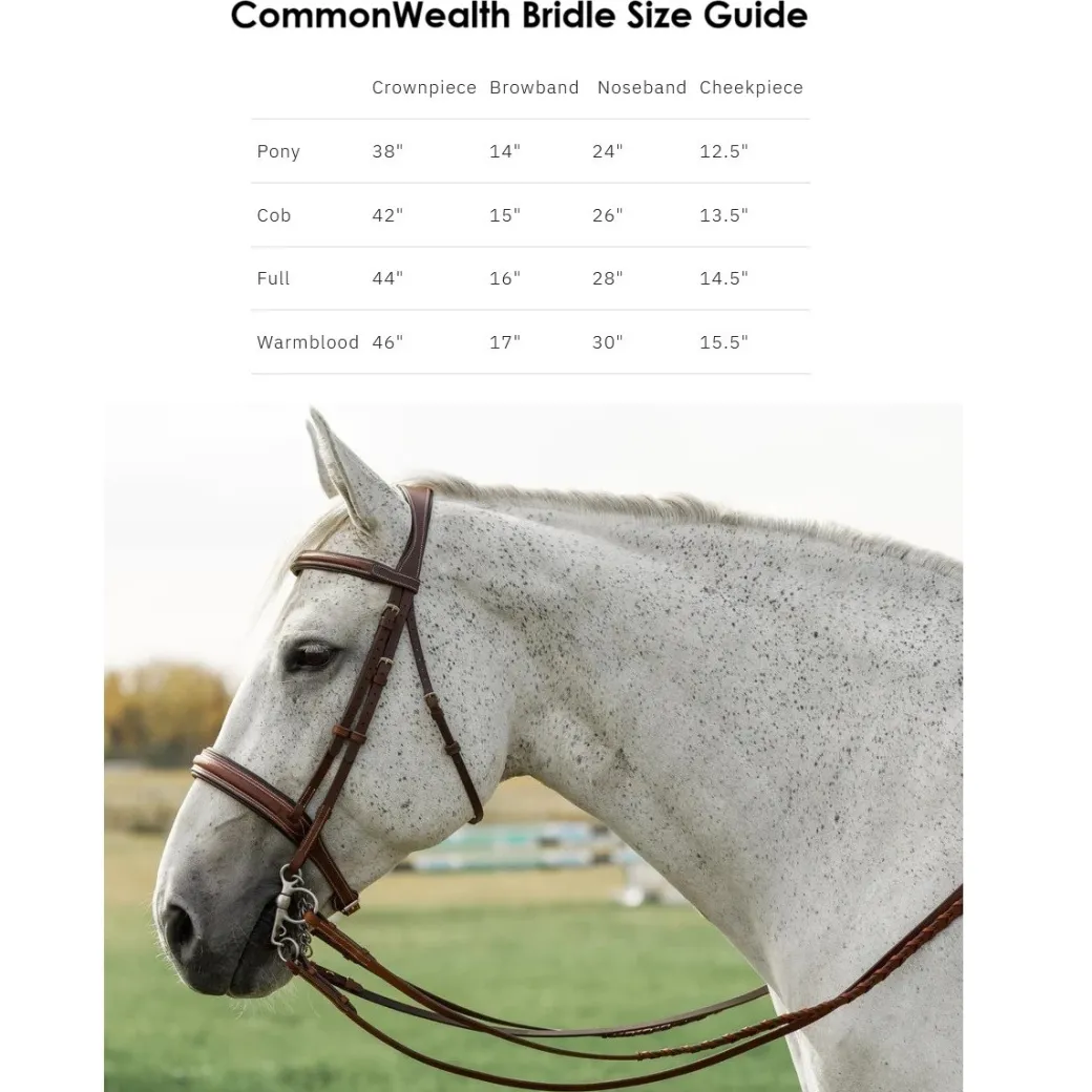 CommonWealth Soft Bridle with Removable Flash