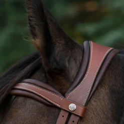 CommonWealth Soft Bridle with Removable Flash
