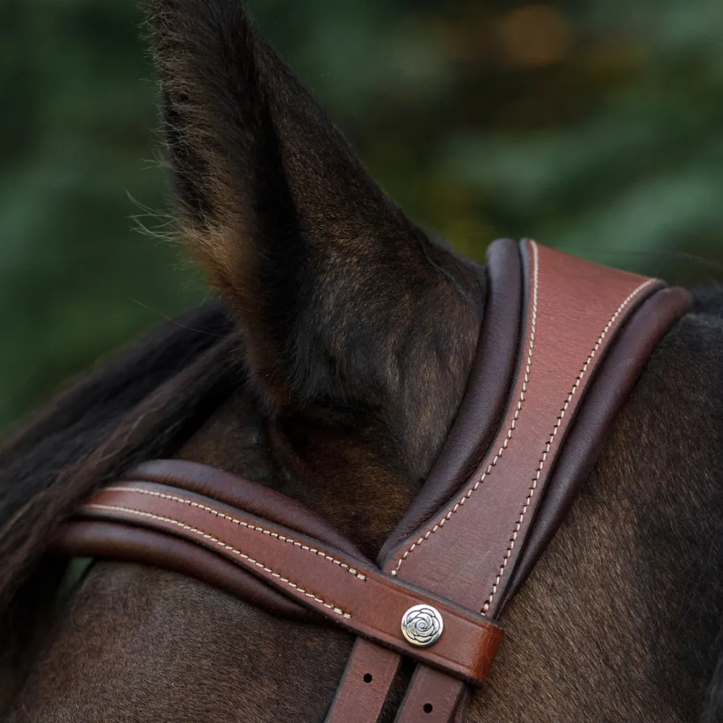 CommonWealth Soft Bridle with Removable Flash