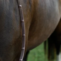 CommonWealth Soft Feel Rubber Reins