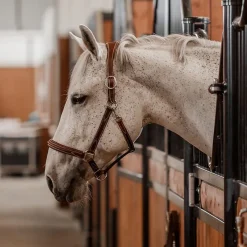CommonWealth Waterton Leather Halter