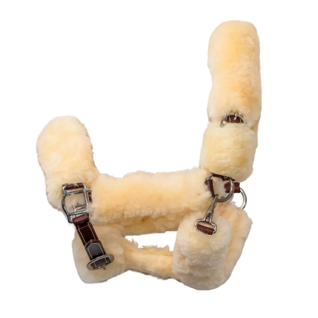 CommonWealth Whistler Shipping Halter