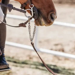 CommonWealth York Grooming Lead