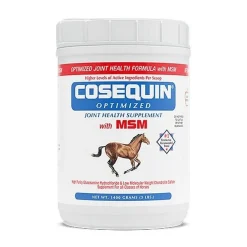 Cosequin Optimized MSM