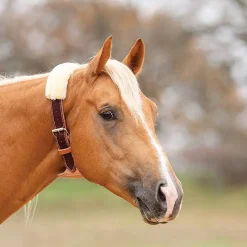Dare Cribbing Control Collar