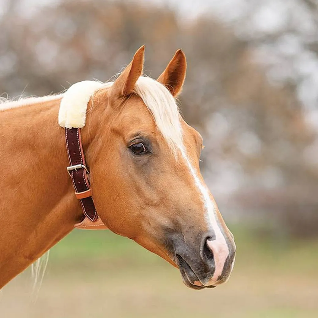 Dare Cribbing Control Collar