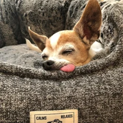 DGS Chill Kuzzi FIR Dog Bed