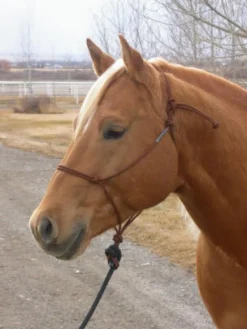 Double Diamond Buck Brannaman 124 Rope Halter