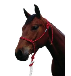 Double Diamond 100 Stiff Rope Halter