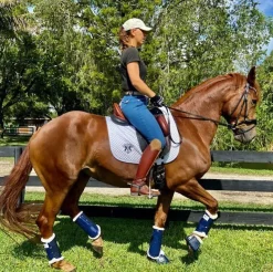 DSB Glossy Dressage Sport Boot