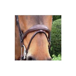 Dy'on Anatomic Flash Noseband Bridle