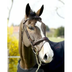 Dy'on Anatomic Flash Noseband Bridle