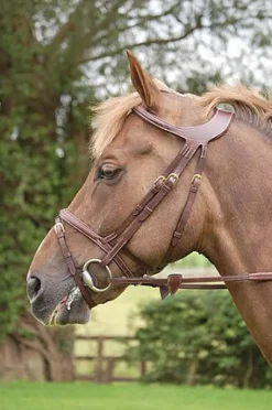 Dy'on Difference Flash Bridle