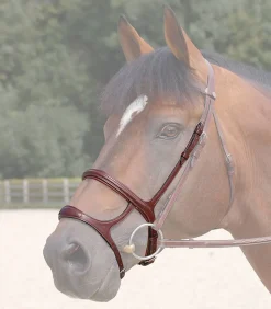 Dy'on Double Noseband