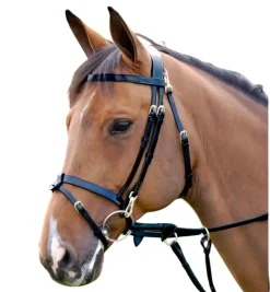 Dy'on Flat Snap Flash Bridle