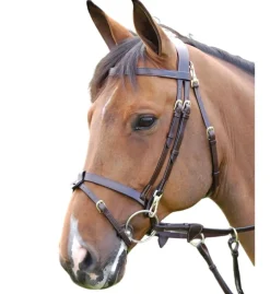 Dy'on Flat Snap Flash Bridle