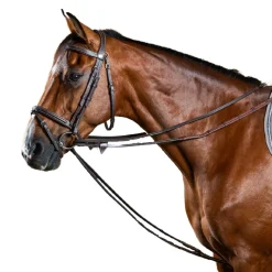 Dy'on Leather Draw Reins
