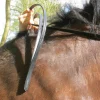 Dy'on Rolled Flat Reins