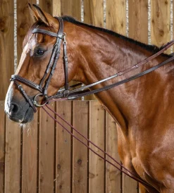 Dy'on Rope Draw Reins
