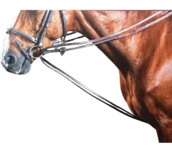 Dy'on Rubber Lined Hunter Draw Reins