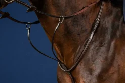 Dy'on Running Martingale