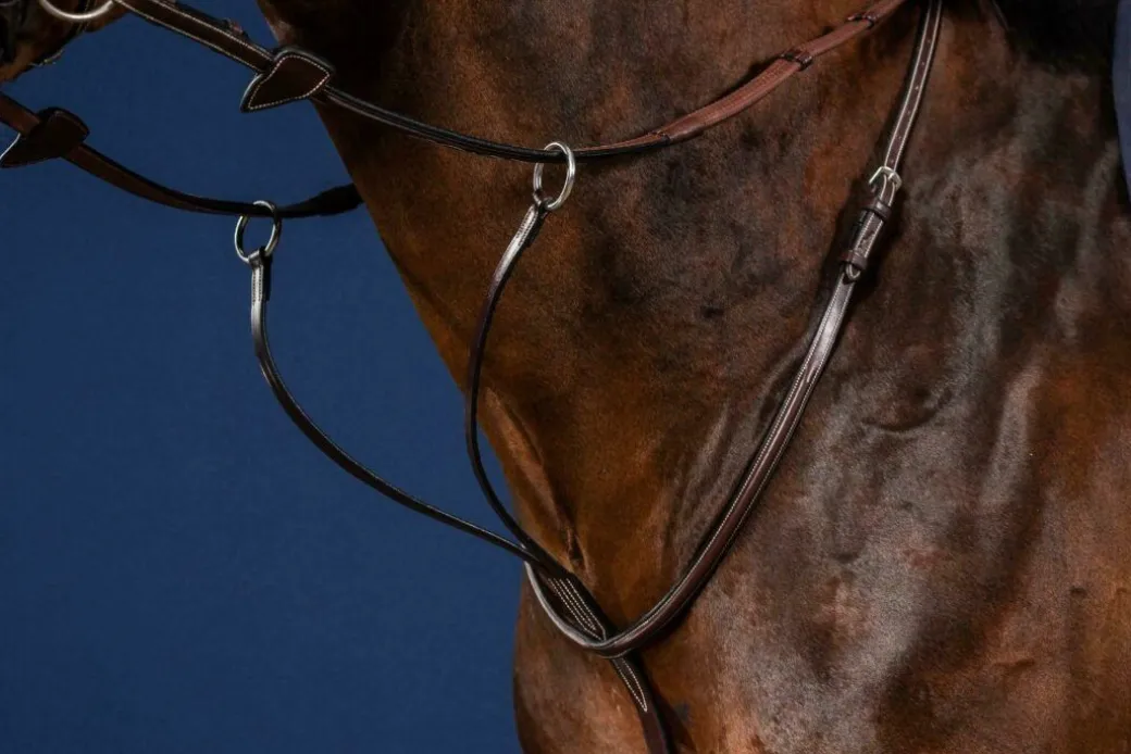 Dy'on Running Martingale