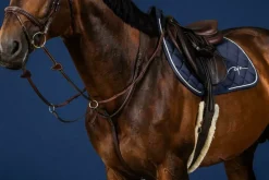 Dy'on Running Martingale