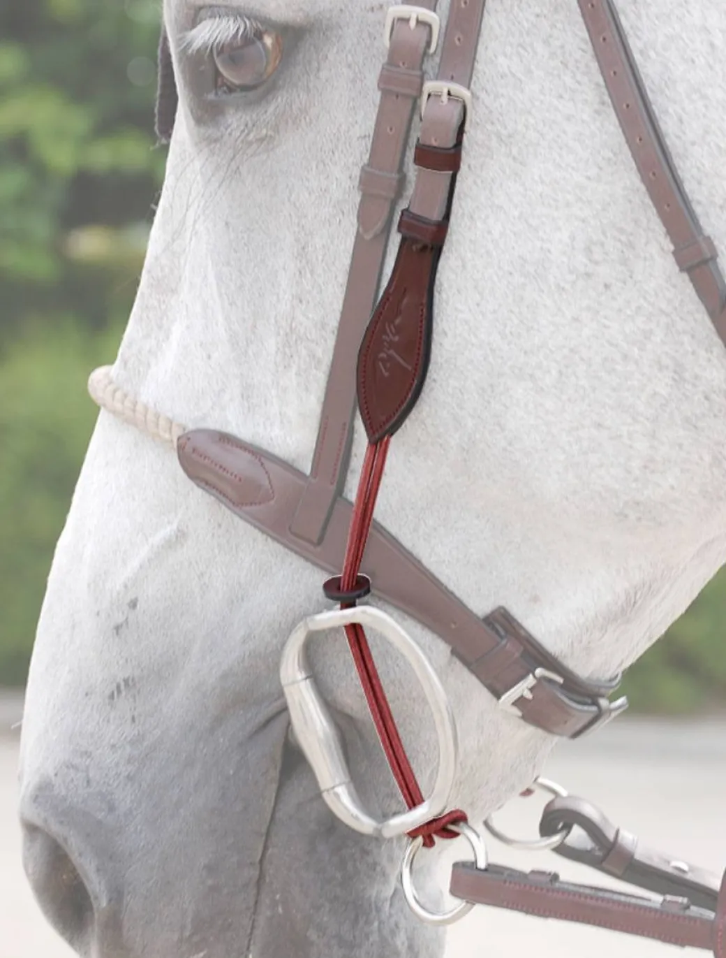 Dy'on Thin Rope Gag Cheek Pieces