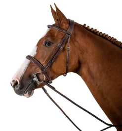 Dy'on Wide Fancy Stitch Hunter Bridle