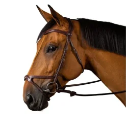 Dy'on X-Fit Bridle