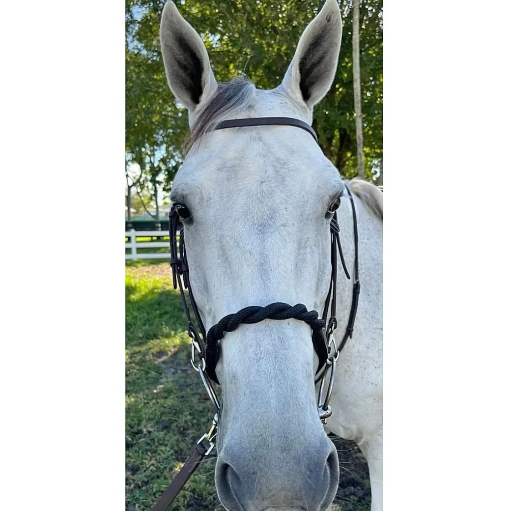 DziaSport Black Double Twisted Rope Noseband