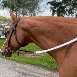DziaSport Easy-Change Bridle