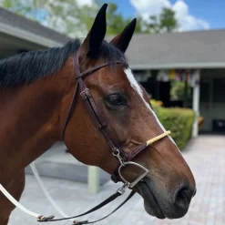 DziaSport Easy-Change Bridle