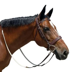 DziaSport Easy-Change Bridle
