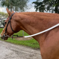 DziaSport Easy-Clip Rubber Reins