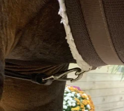 DziaSport Easy-Off Standing Martingale