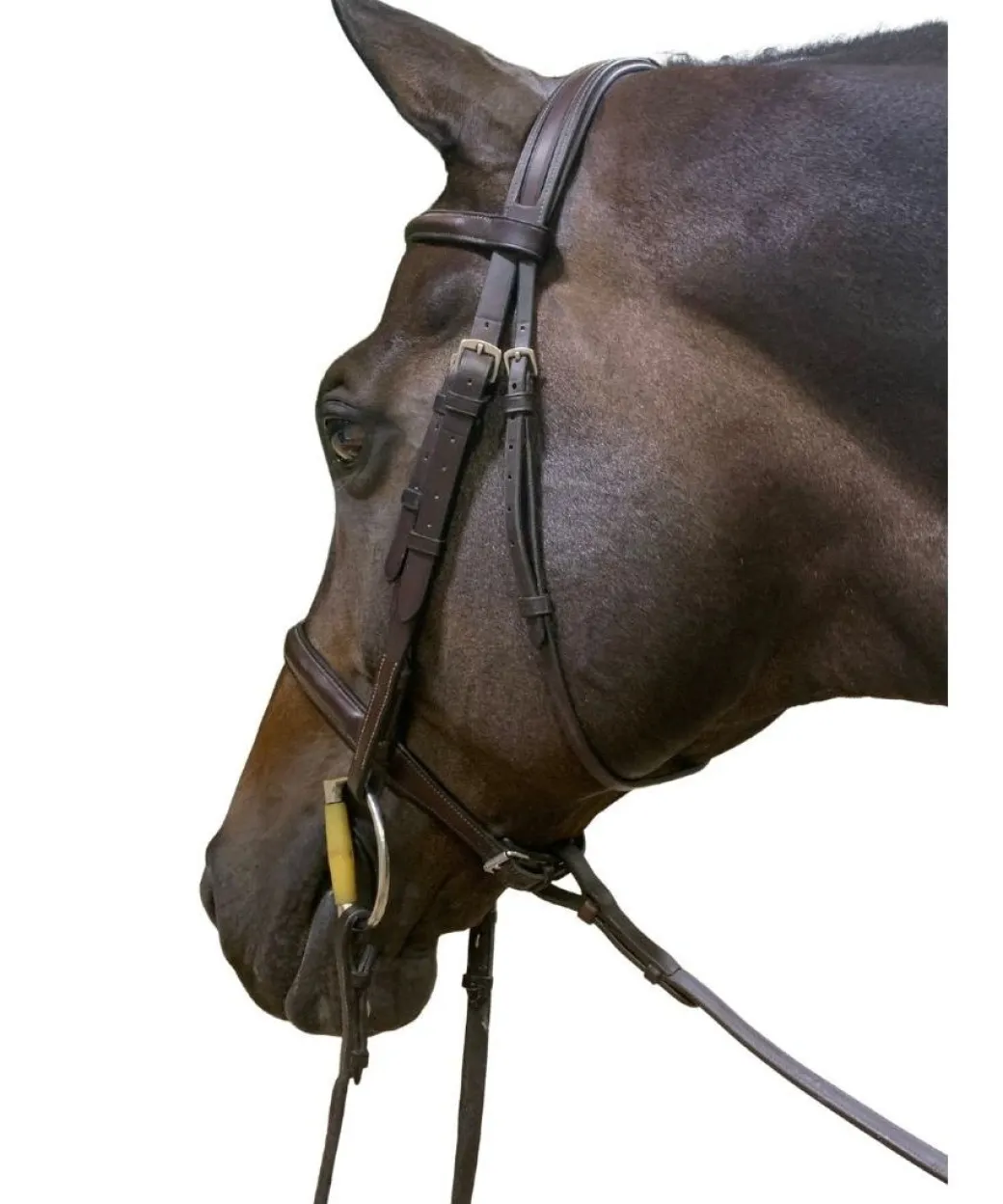 DziaSport Easy-Off Standing Martingale
