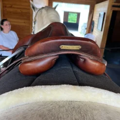 DziaSport Happy Back Saddle Pad