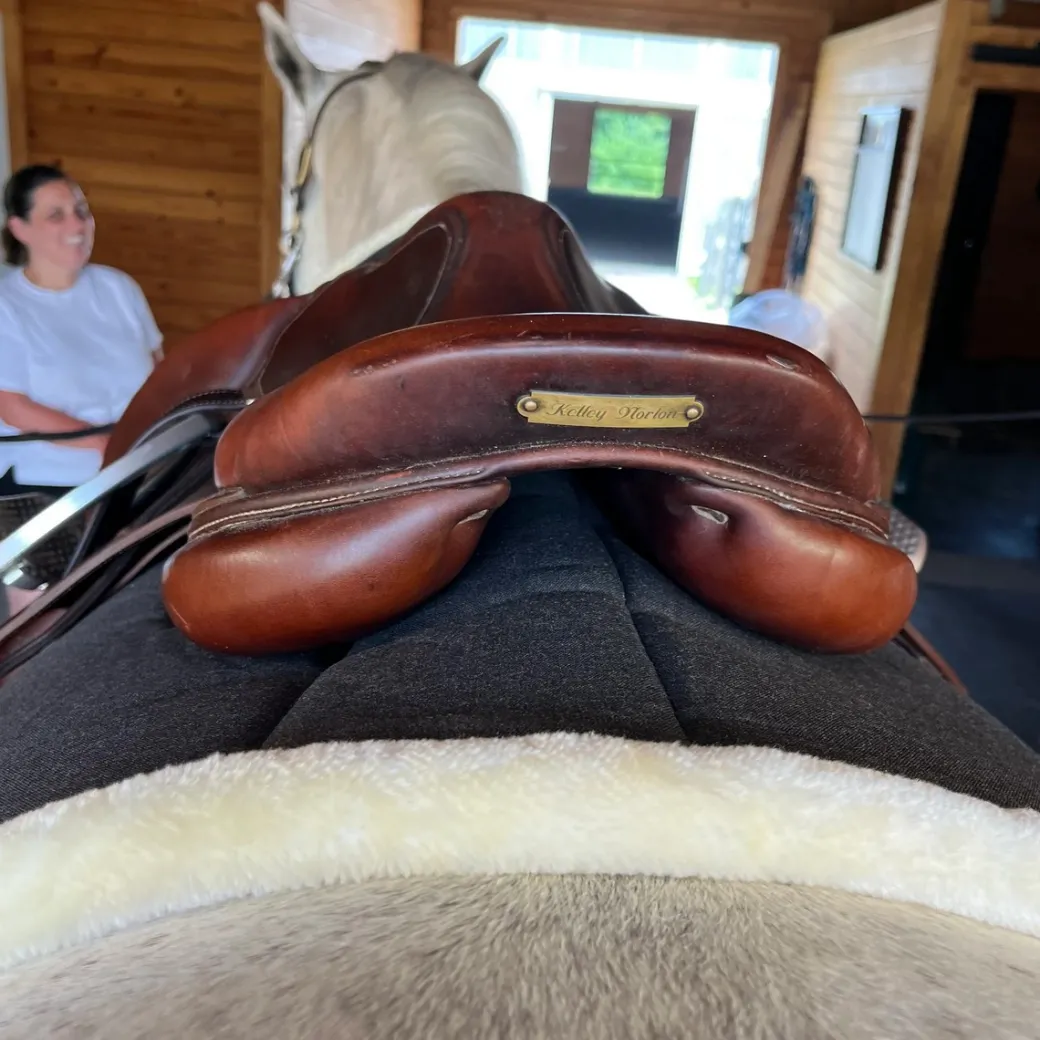 DziaSport Happy Back Saddle Pad