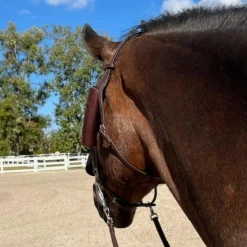 DziaSport Happy Horse Eyes Forward Leather Blinkers