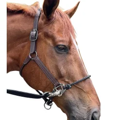 DziaSport Happy Horse Hybrid Halter