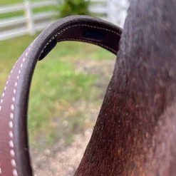 DziaSport Happy Horse Leather Halter