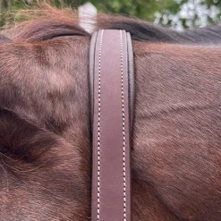 DziaSport Happy Horse Leather Halter