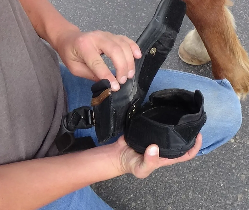 Easyboot New Trail Hoof Boot - Large Sizes 7-12